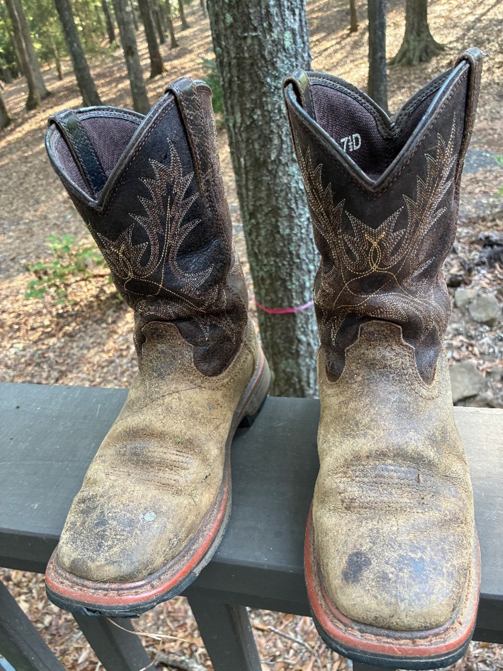 Cowboy boots